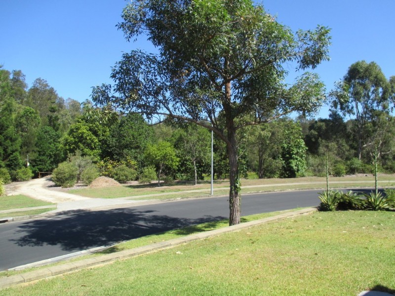 4 Sugar Glider Drive, Pottsville NSW 2489