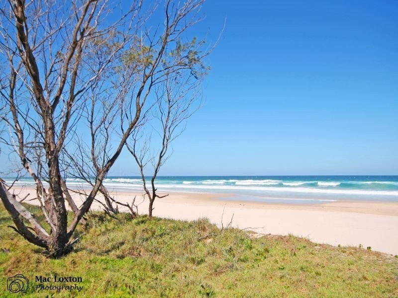 4/4 Boronia Avenue, Pottsville NSW 2489