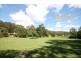 213 Sleepy Hollow Road, Pottsville NSW 2489