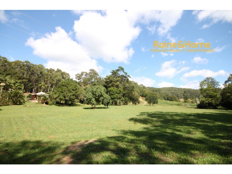 213 Sleepy Hollow Road, Pottsville NSW 2489