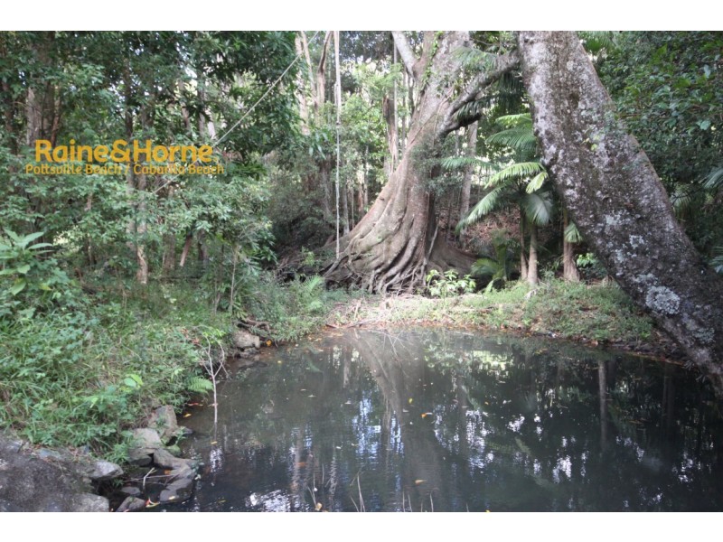 213 Sleepy Hollow Road, Pottsville NSW 2489