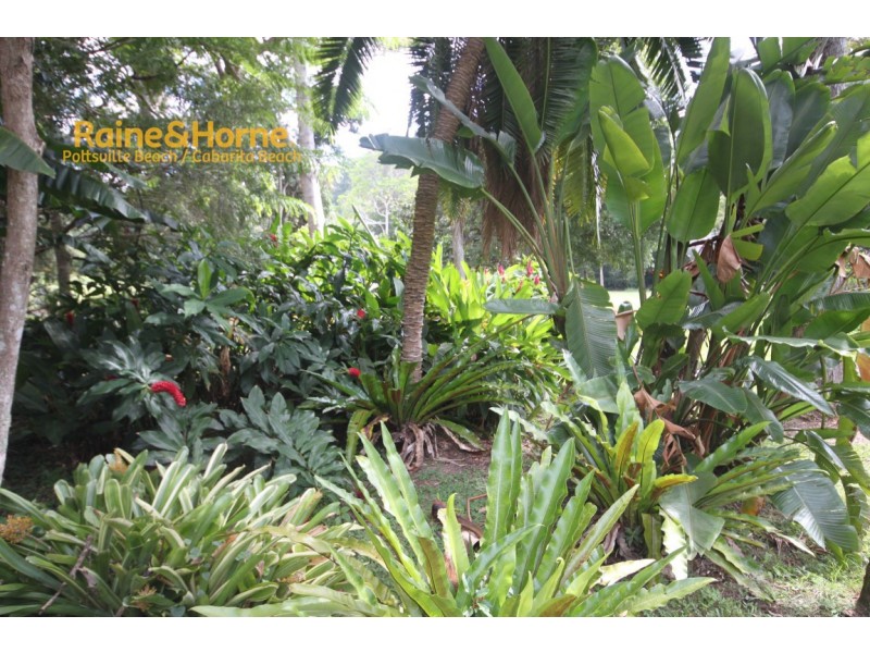 213 Sleepy Hollow Road, Pottsville NSW 2489