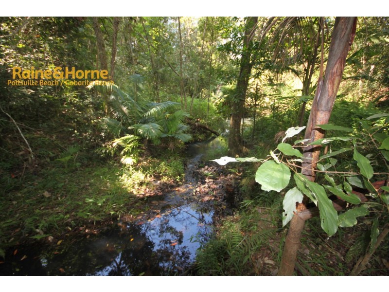 213 Sleepy Hollow Road, Pottsville NSW 2489