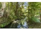 213 Sleepy Hollow Road, Sleepy Hollow NSW 2483