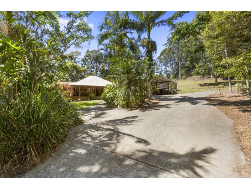 213 Sleepy Hollow Road, Sleepy Hollow NSW 2483
