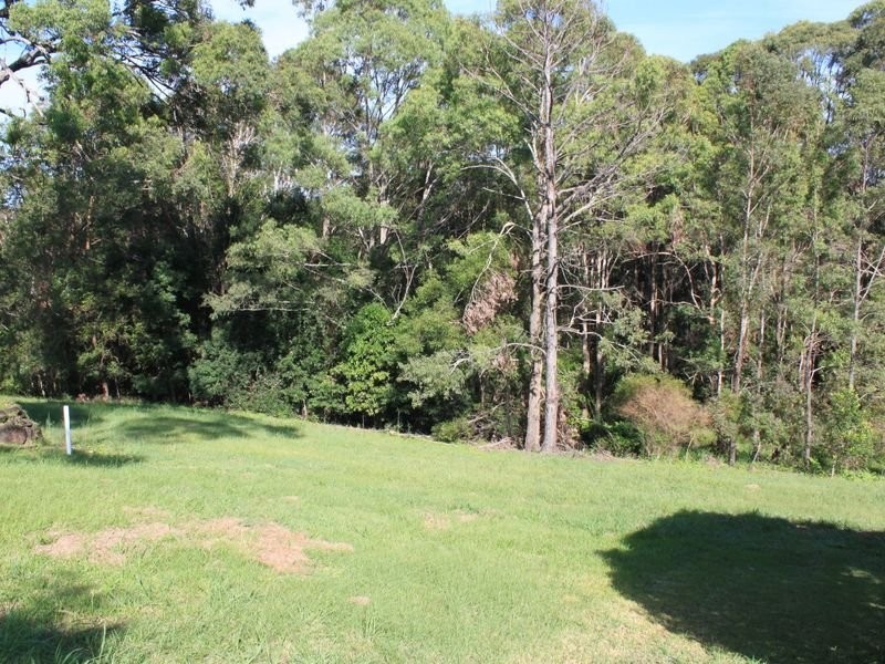 17 Sassafras Street, Pottsville NSW 2489