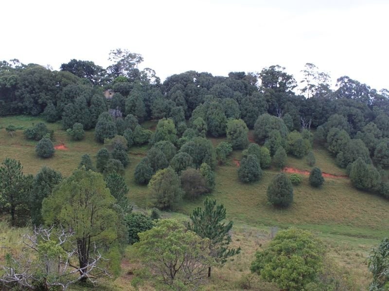 305 Duranbah Road, Duranbah NSW 2487