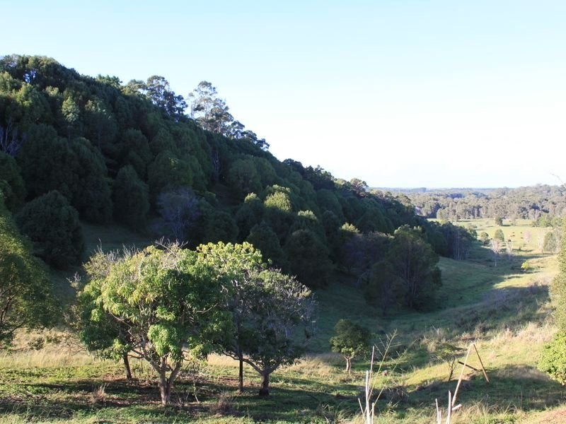 305 Duranbah Road, Duranbah NSW 2487