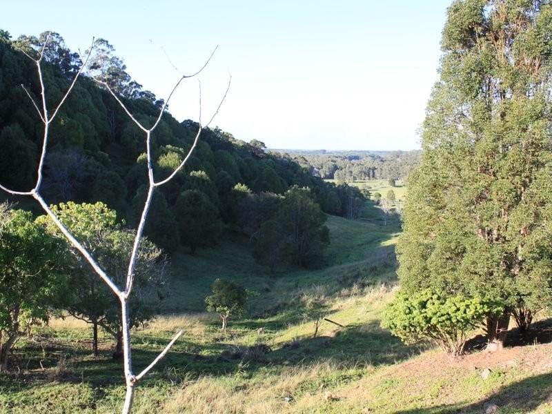 305 Duranbah Road, Duranbah NSW 2487