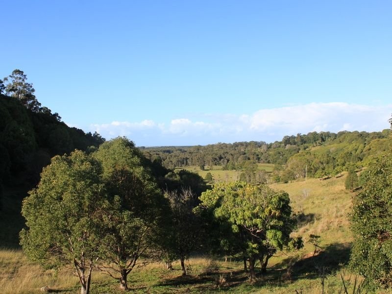 305 Duranbah Road, Duranbah NSW 2487