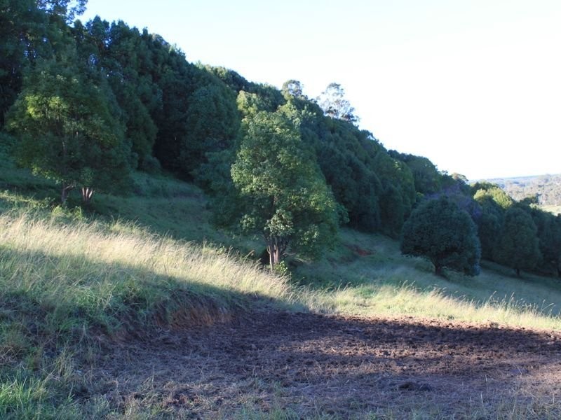 305 Duranbah Road, Duranbah NSW 2487