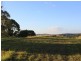 1734 Reserve Creek Road, Pottsville NSW 2489