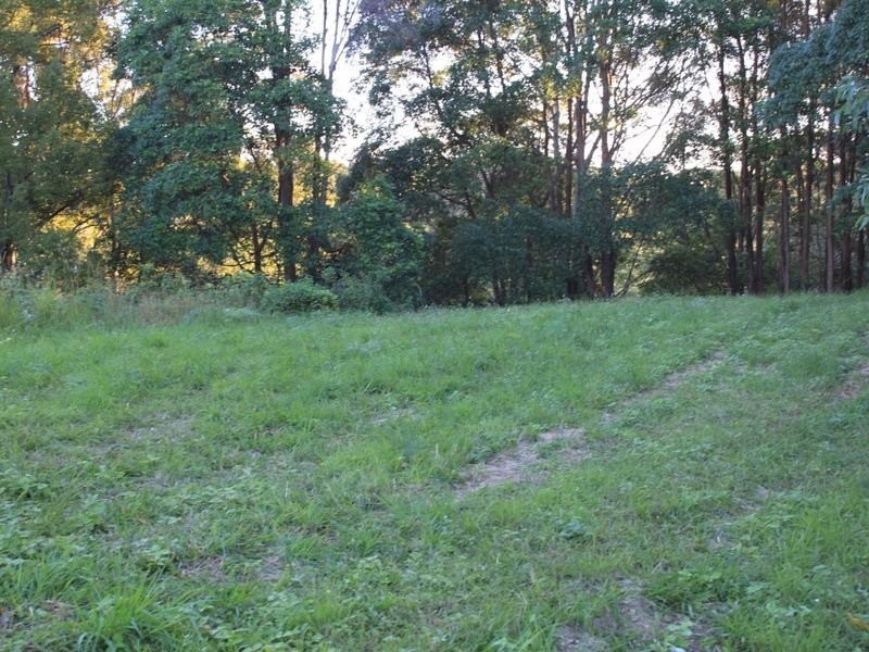 1734 Reserve Creek Road, Pottsville NSW 2489