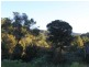 1734 Reserve Creek Road, Pottsville NSW 2489