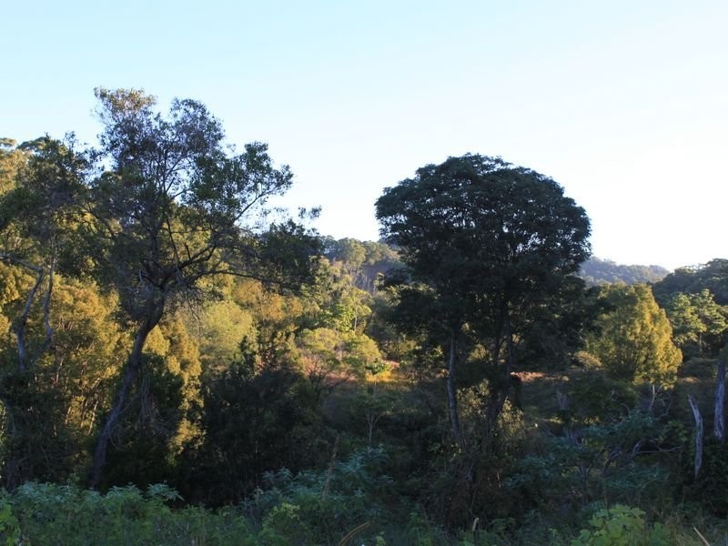 1734 Reserve Creek Road, Pottsville NSW 2489