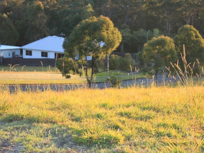 58 Marsupial Drive, Pottsville NSW 2489