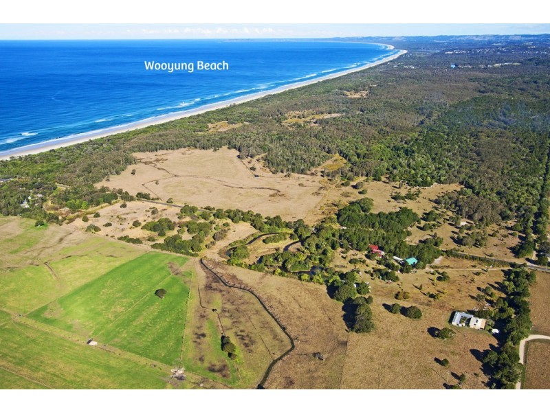 365 Wooyung Road, Wooyung NSW 2483