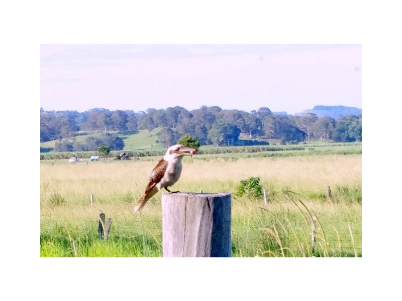 365 Wooyung Road, Wooyung NSW 2483