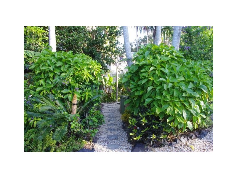 365 Wooyung Road, Wooyung NSW 2483