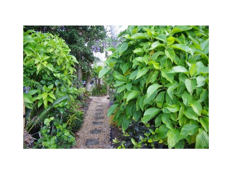 365 Wooyung Road, Wooyung NSW 2483