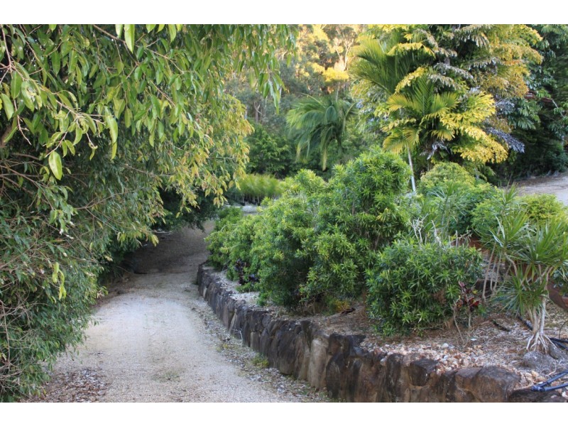 1172 Reserve Creek Road, Hastings Point NSW 2489