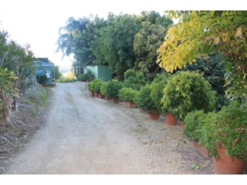 1172 Reserve Creek Road, Hastings Point NSW 2489