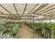 1172 Reserve Creek Road, Hastings Point NSW 2489