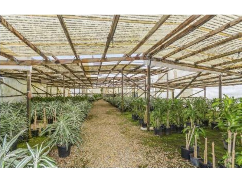 1172 Reserve Creek Road, Hastings Point NSW 2489