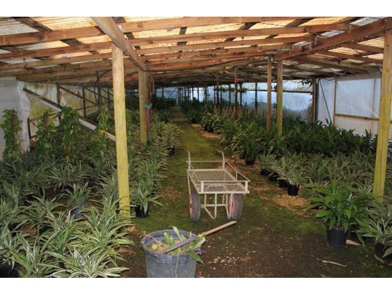 1172 Reserve Creek Road, Hastings Point NSW 2489
