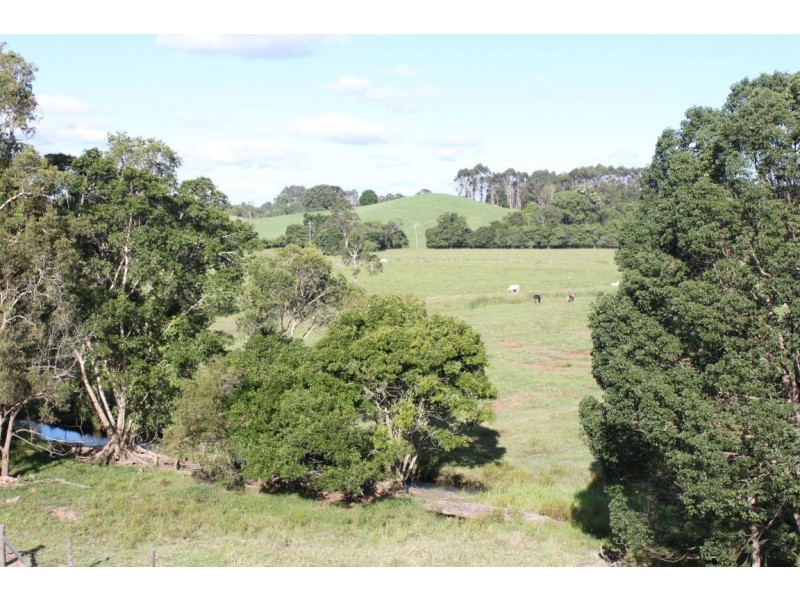 15 Dallis Court, Dunbible NSW 2484