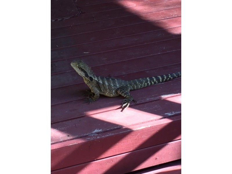 285 Tweed Coast Road, Hastings Point NSW 2489