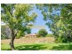64 Ophir Glen Road, Burringbar NSW 2483