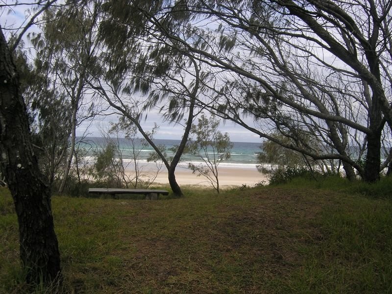 95 Elanora Avenue, Pottsville NSW 2489