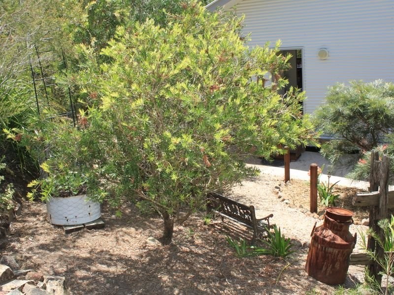 2 Bunya Crescent, Pottsville NSW 2489