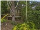 33 Farrants Hill Road, Cabarita Beach NSW 2488