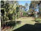 7 Brushtail Court, Pottsville NSW 2489