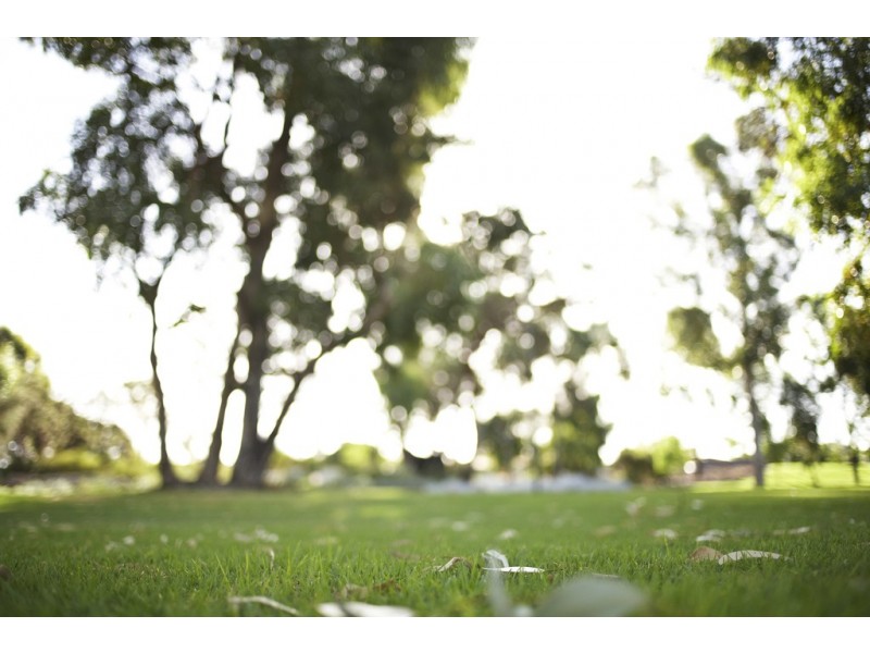 Lot 28 Montsalvat Drive, Greenfields WA 6210