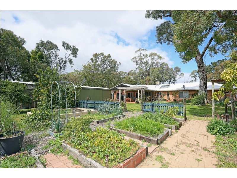 4 Nutbush Avenue, Falcon WA 6210