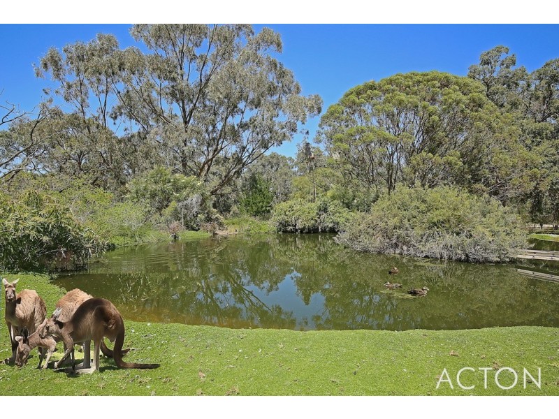 3 Terrigal Place, Bouvard WA 6211
