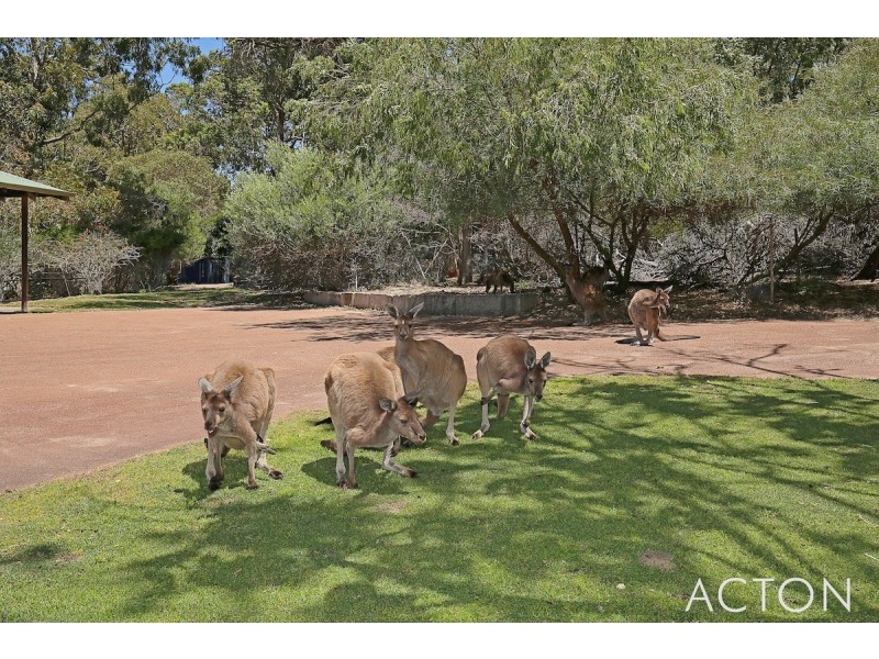 3 Terrigal Place, Bouvard WA 6211