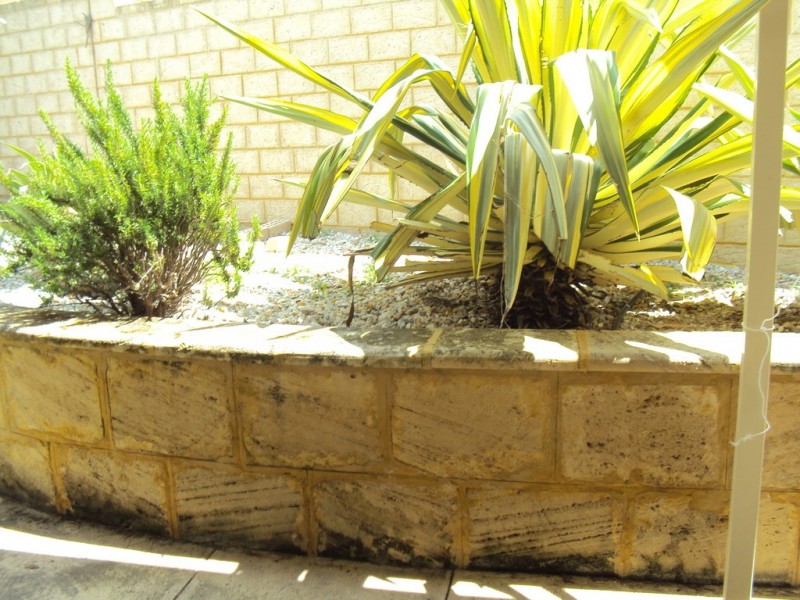 25 Magnetic Sq, Halls Head WA 6210