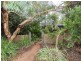 14 Yeulba Street, Falcon WA 6210