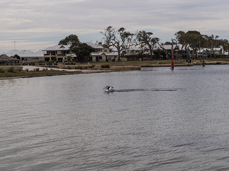 58 Marina Quay Drive, Erskine WA 6210