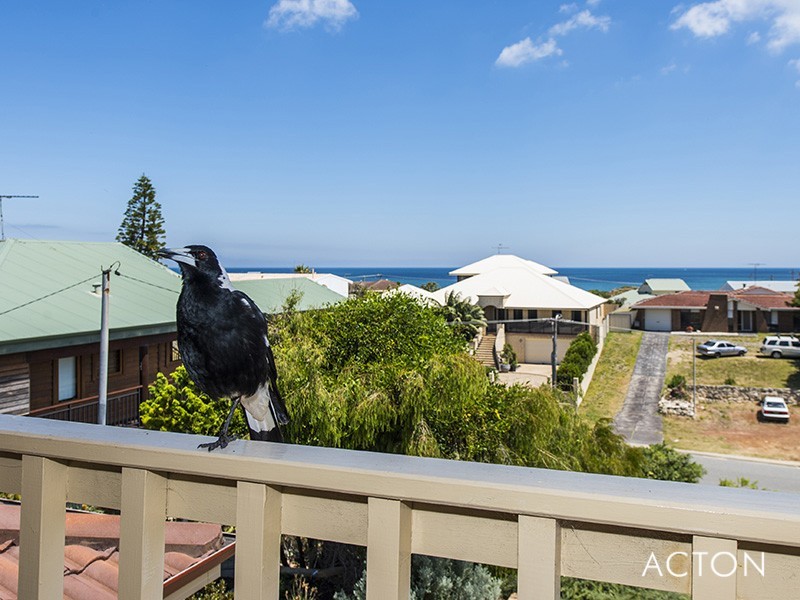 29 Mippi Road, Halls Head WA 6210