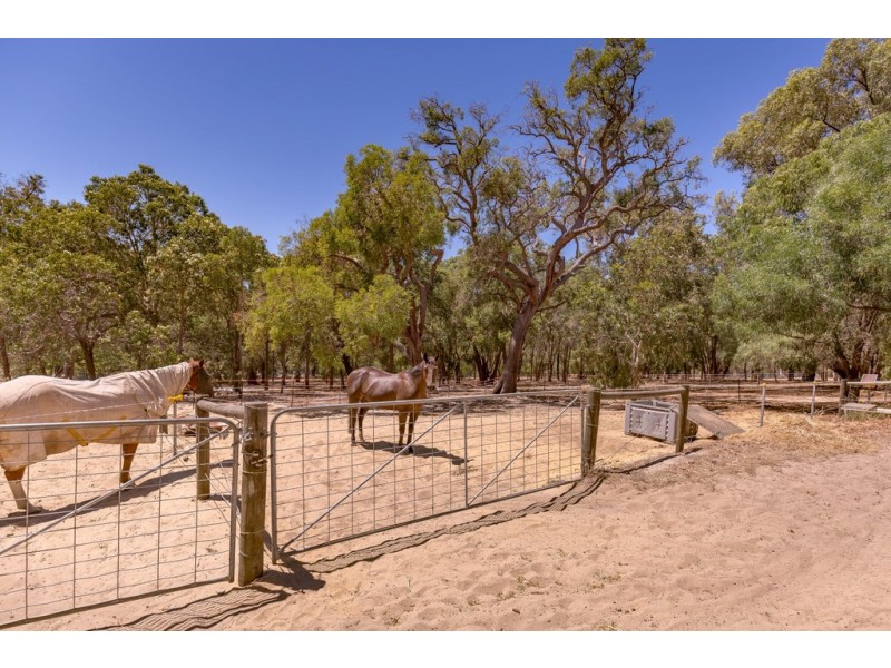 8 Harvey View Drive, Herron WA 6211