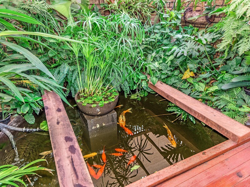 103 Feast Road, Serpentine WA 6125