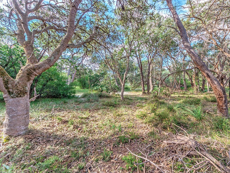 375 Jarrah Road, Hopeland WA 6125