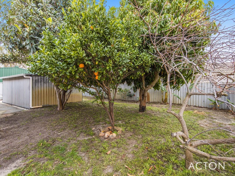 3 Brigadoon Close, Halls Head WA 6210