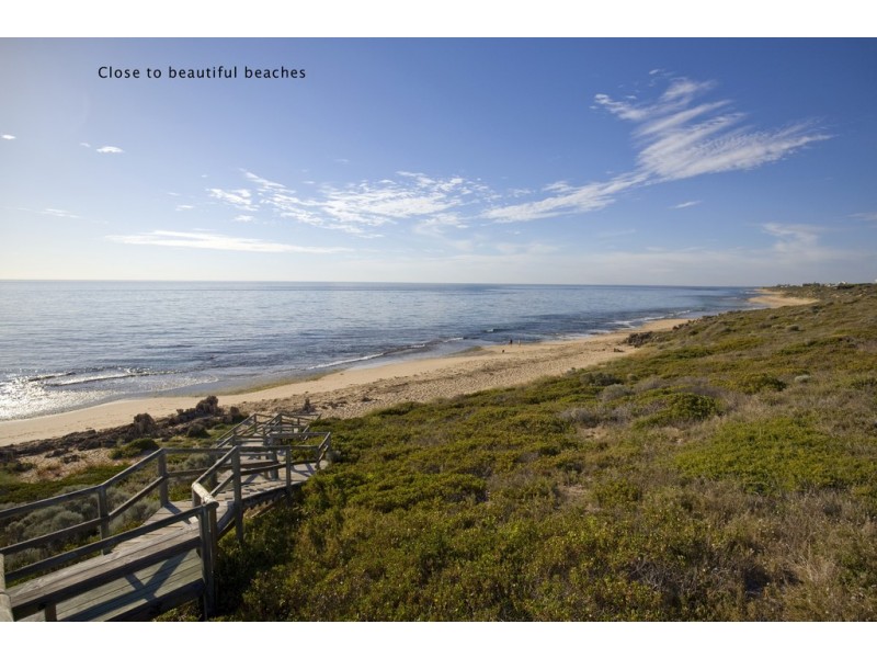 12 Dichondra Pass, Halls Head WA 6210