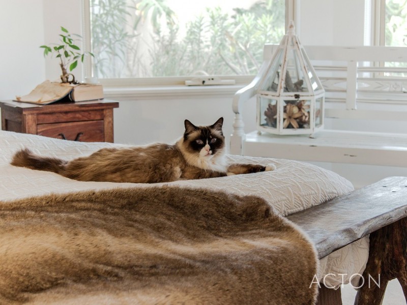 69 Pebble Beach Boulevard, Meadow Springs WA 6210